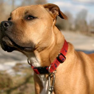 Meet your Posher, Oscar whitney